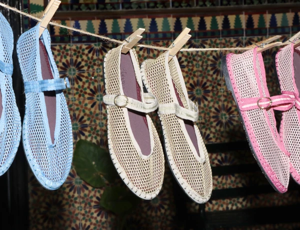 Meet Flabelus at IDIL