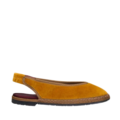 Flabelus Narnia Sand