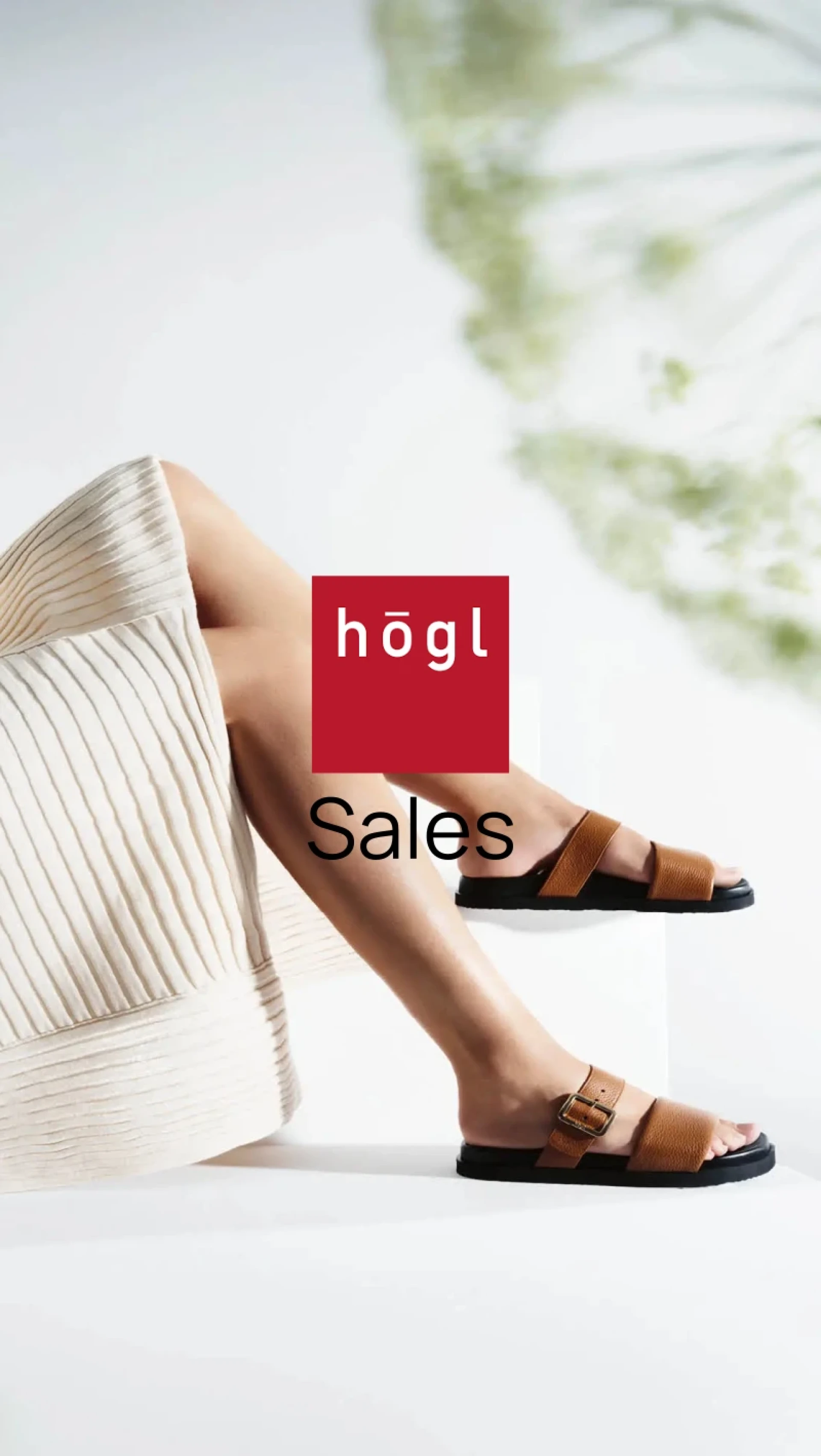 Hogl 16 07 25