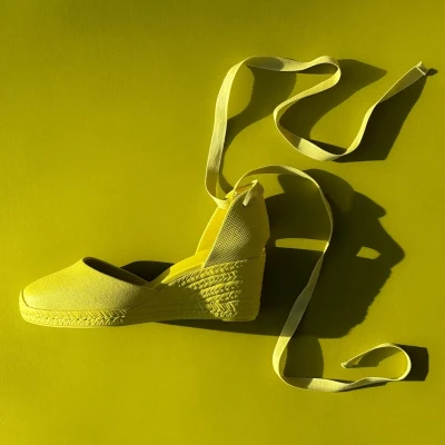 Castañer Careen/6/274 Espadrilles