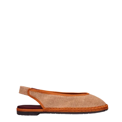 Flabelus Narnia Brown