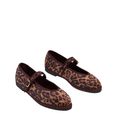 Flabelus Pierre Feline Brown
