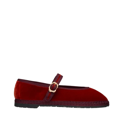 Flabelus Pierre Sienna