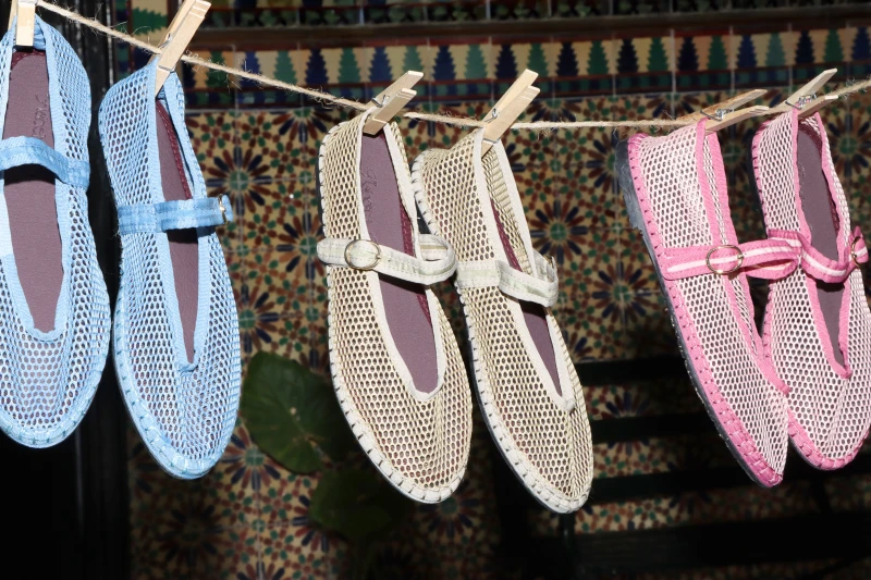 Meet Flabelus at IDIL