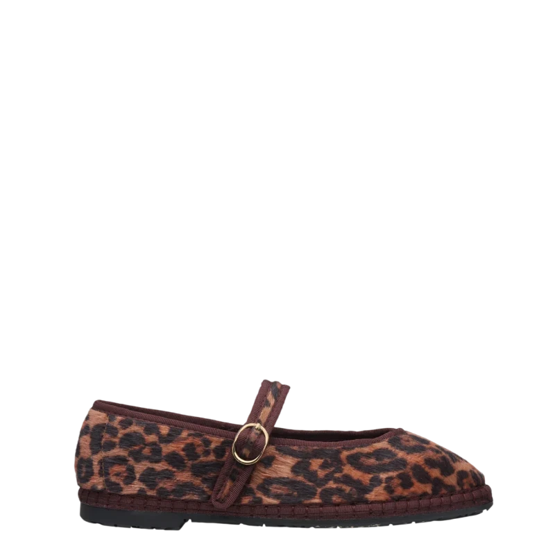 Flabelus Pierre Feline Brown